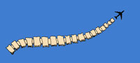 Spine Plane