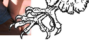 Spokes Claw!